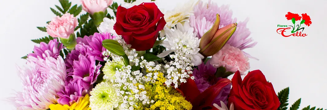 Foto flores Tello