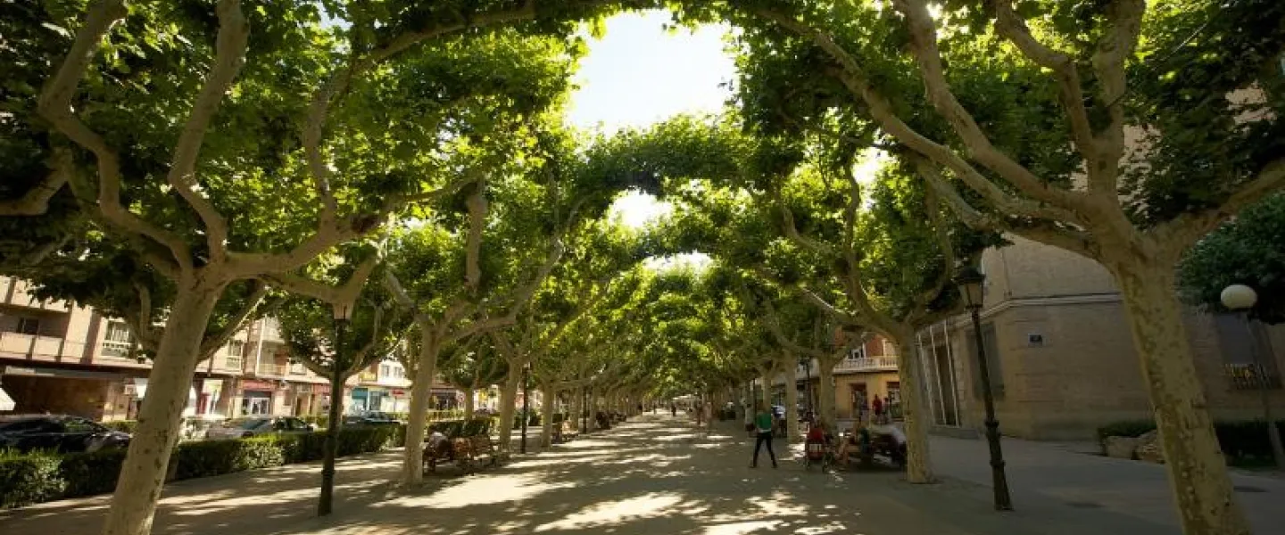 Paseo Cortes de Aragón Calatayud