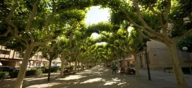 Paseo Cortes de Aragón Calatayud