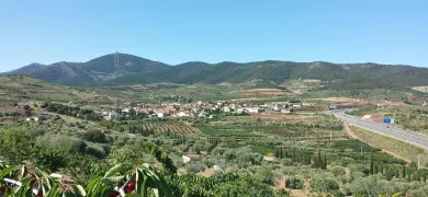 Sierra de Vicort Calatayud